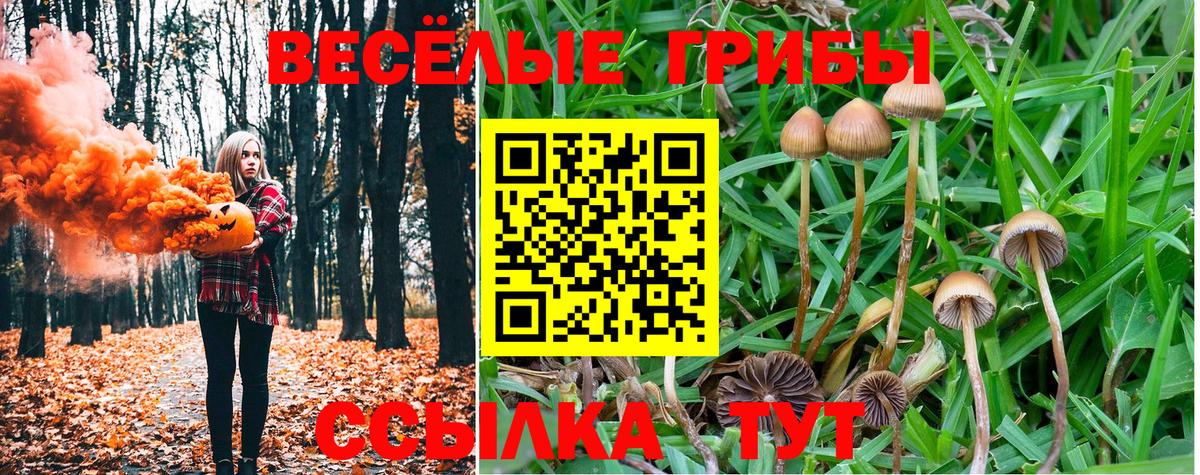 Каннабис  МЕТ  Кокаин  Alpha PVP СК   Вход с VPN  Меф   ЭКСТАЗИ  Метадон  Ковров  ГАШ 