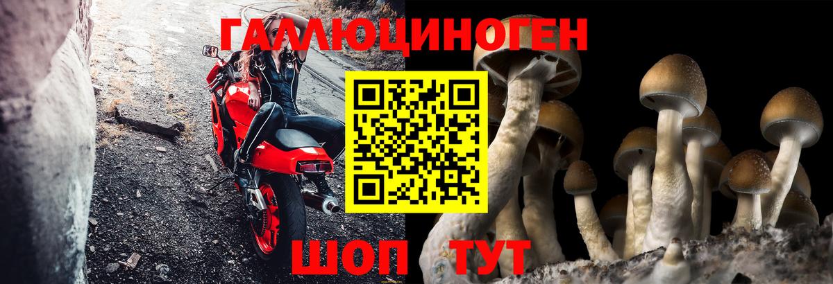 Галлюциногенные грибы MAGIC MUSHROOMS Ковров