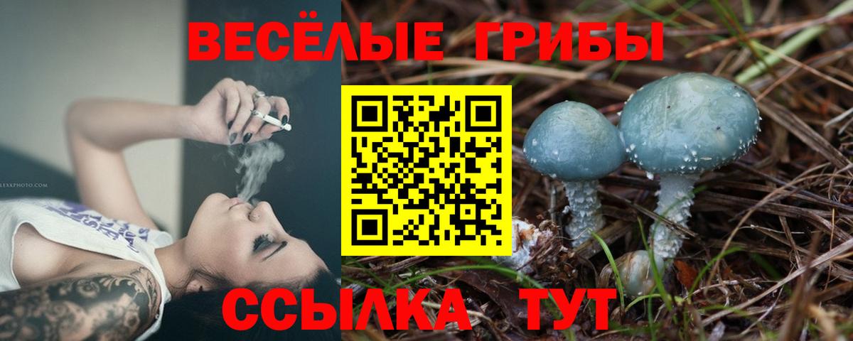 Галлюциногенные грибы ЛСД  Вход с VPN  Ковров 